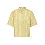 JDY CAMICIA CORTA